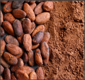 Natural Cocoa Powder - Dominican Republic - Img 2