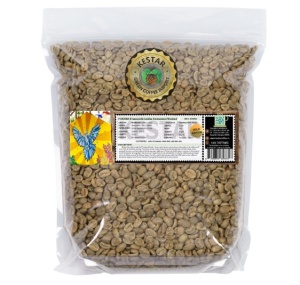 PANAMA Franceschi Geisha Fermented Washed