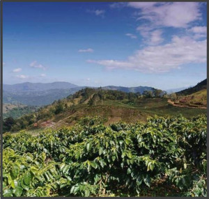 Republica Dominicana Finca Ibonna - Img 2