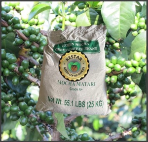 YEMEN Mocha Matari Grade A+ - Img 5