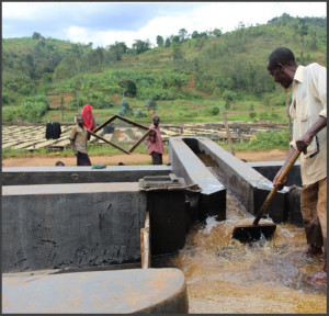 BURUNDI Yandaro Kayanza - Img 3