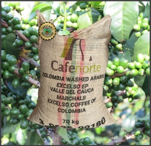 COLOMBIA Excelso Valle del Cauca Marchalii
