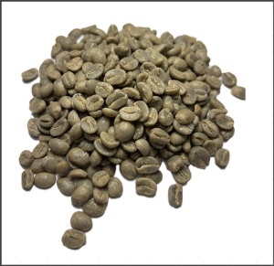 COLOMBIA Finca La Esperanza