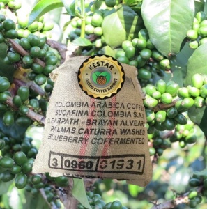 COLUMBIA Huila Finca Las Palmas Blueberry Co-fermented Washed