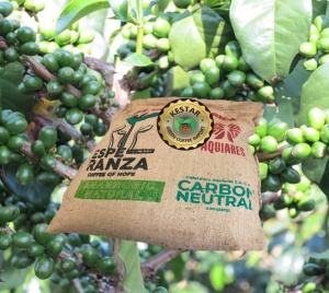 COSTA RICA Aquiares Estate Esperanza Anaerobic Natural