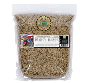 COSTA RICA Jaguar Honey