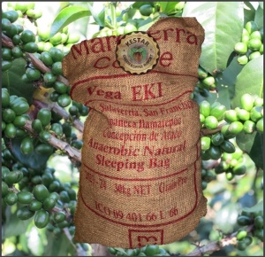 EL SALVADOR Finca San Francisco Anaerobic Natural 88.5 pc