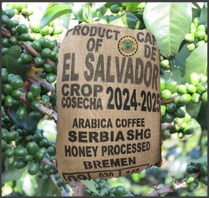 EL SALVADOR Finca Serbia Honey - Img 4