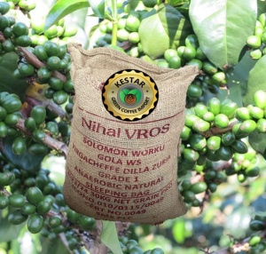 ETIOPIA Yirgacheffe Dilla Zuria