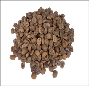 GUATEMALA Finca Pampojila Anaerobic Natural - Img 2