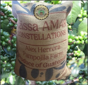 GUATEMALA Finca Pampojila Natural Microlot - Img 4