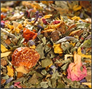 HERBAL TEA -Philosopher's Tea