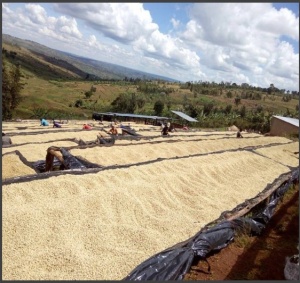 RWANDA Humure Abishyizehamwe - Img 3