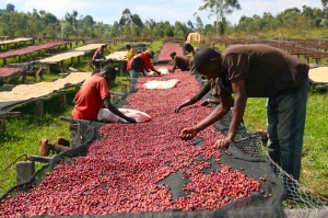 RWANDA Ngoma Natural - Img 3