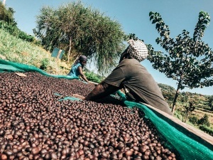 UGANDA Drugar Natural Extra Clean - Img 2