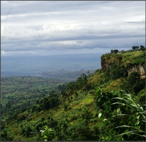 UGANDA Kapchorwa Honey - Img 2