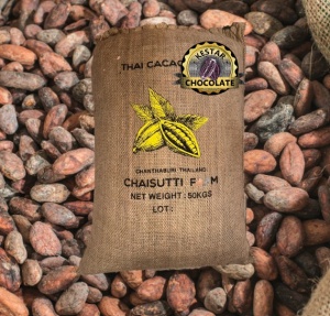CACAO Boabe Crude - THAILAND Chanthaburi Chaisutti Farm - Img 2