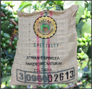 COLOMBIA Huila Finca El Recreo Pink Bourbon