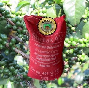 EL SALVADOR Finca El Martillo Anaerobic Honey
