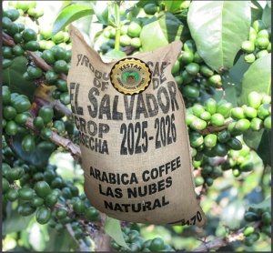 EL SALVADOR Finca Las Nubes Natural