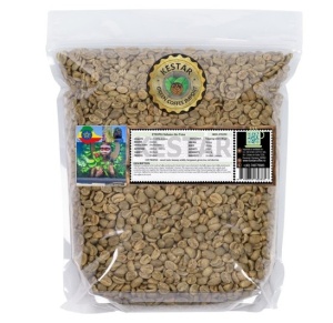 ETHIOPIA Sidamo Ato Tona