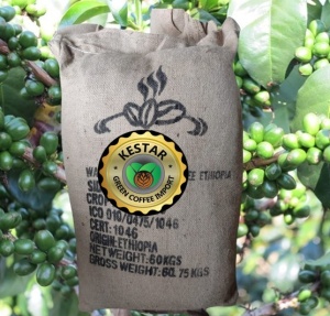 ETIOPIA Sidamo Aletawendo