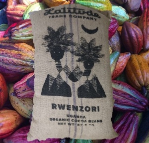 RAW COCOA BEANS - UGANDA Rwenzori - Img 3
