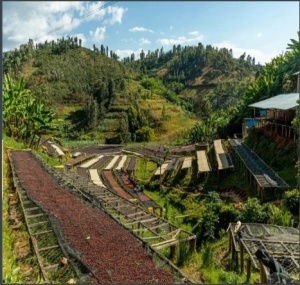 RWANDA Nyamasheke Akagera