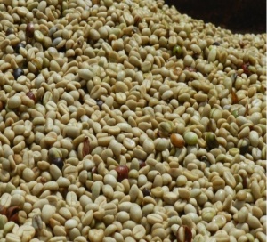 COLOMBIA Excelso EP La Reserva