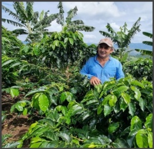 COLOMBIA Huila Finca El Recreo Honey Caturron