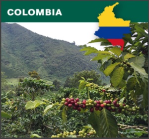 COLUMBIA Supremo Risaralda - Img 2