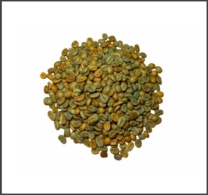 EL SALVADOR Finca Miramar Anaerobic Honey