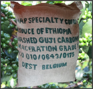 ETIOPIA Guji Uraga RARO Carbonic Maceration - Img 6