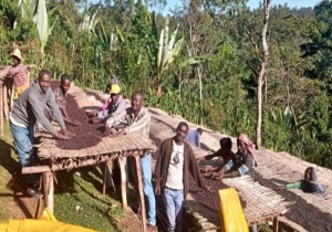 ETIOPIA Sidamo Alemayehu Hillo - Img 2