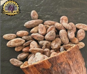 RAW COCOA BEANS -DOMINICAN REPUBLIC Zorzal Comunitario