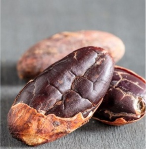 RAW COCOA BEANS - VENEZUELA Amazonas Caicara Piaroa