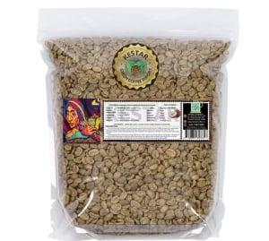 COLUMBIA Antioqua Finca Capilla De Rosario Coconut Co-fermented