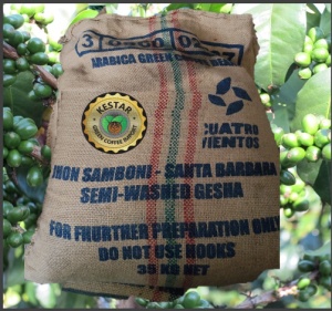 COLUMBIA Huila Finca Santa Barbara Geisha Semi-Washed