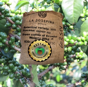 ECUADOR Finca La Josefina Sidra - Img 5