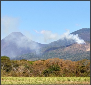 EL SALVADOR Finca El Martillo