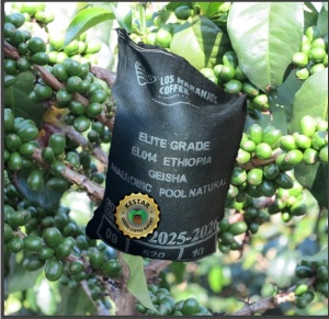 EL SALVADOR Finca Ethiopia Anaerobic Natural