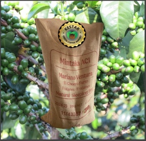 GUATEMALA Finca El Chorro Natural