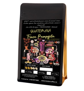 GUATEMALA Finca Pampojila Natural Microlot