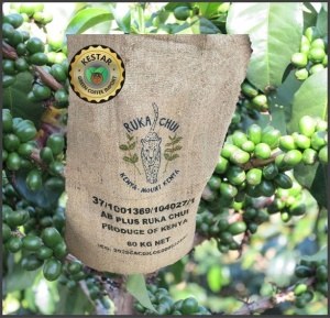 KENYA Nyeri Ruka Chui