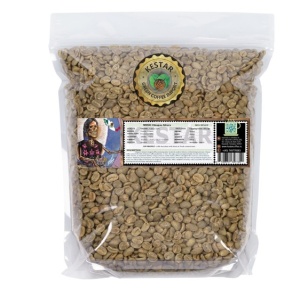 MEXIC Chiapas Altura Organic