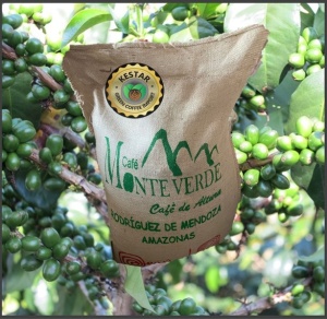 PERU Amazonas Monte Verde