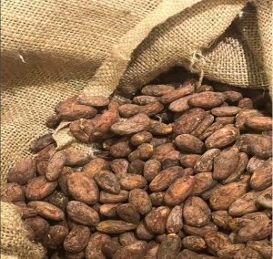 RAW COCOA BEANS -TANZANIA Mbingu Kokoa Kamili Farm
