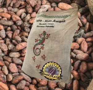 CACAO Boabe Crude - REPUBLICA DOMINICANA Puerto Plata Taino Soliman