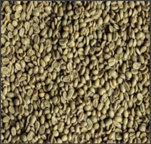 ETHIOPIA Sidamo Ato Tona