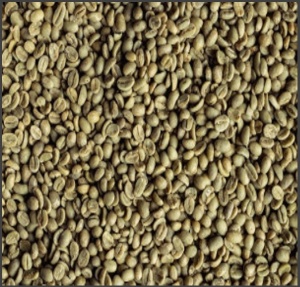 ETIOPIA Sidamo Ato Tona